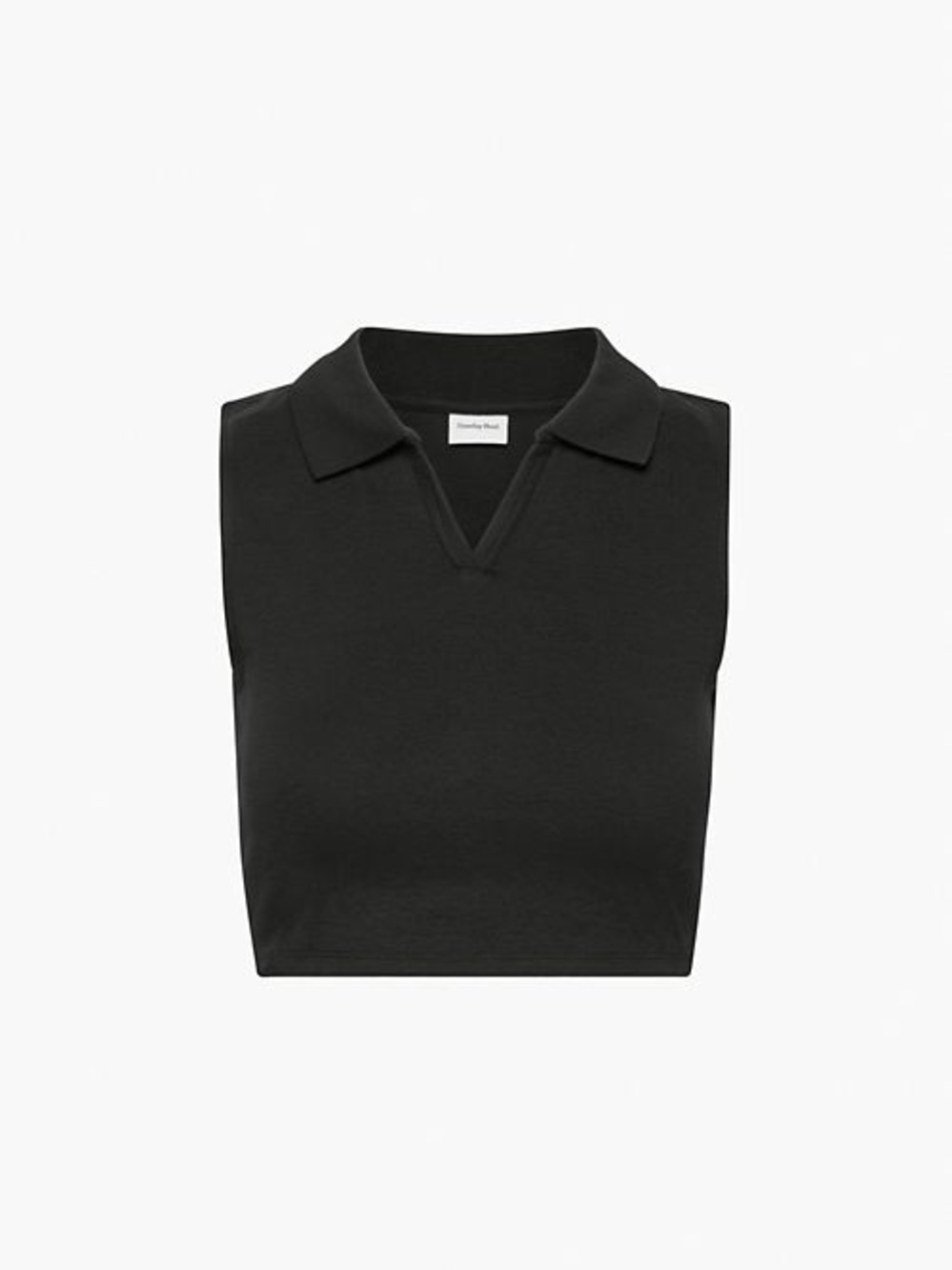 NWT Aritzia Sunday Best Knox Tank
